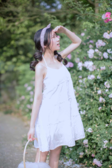 逍遥骑士